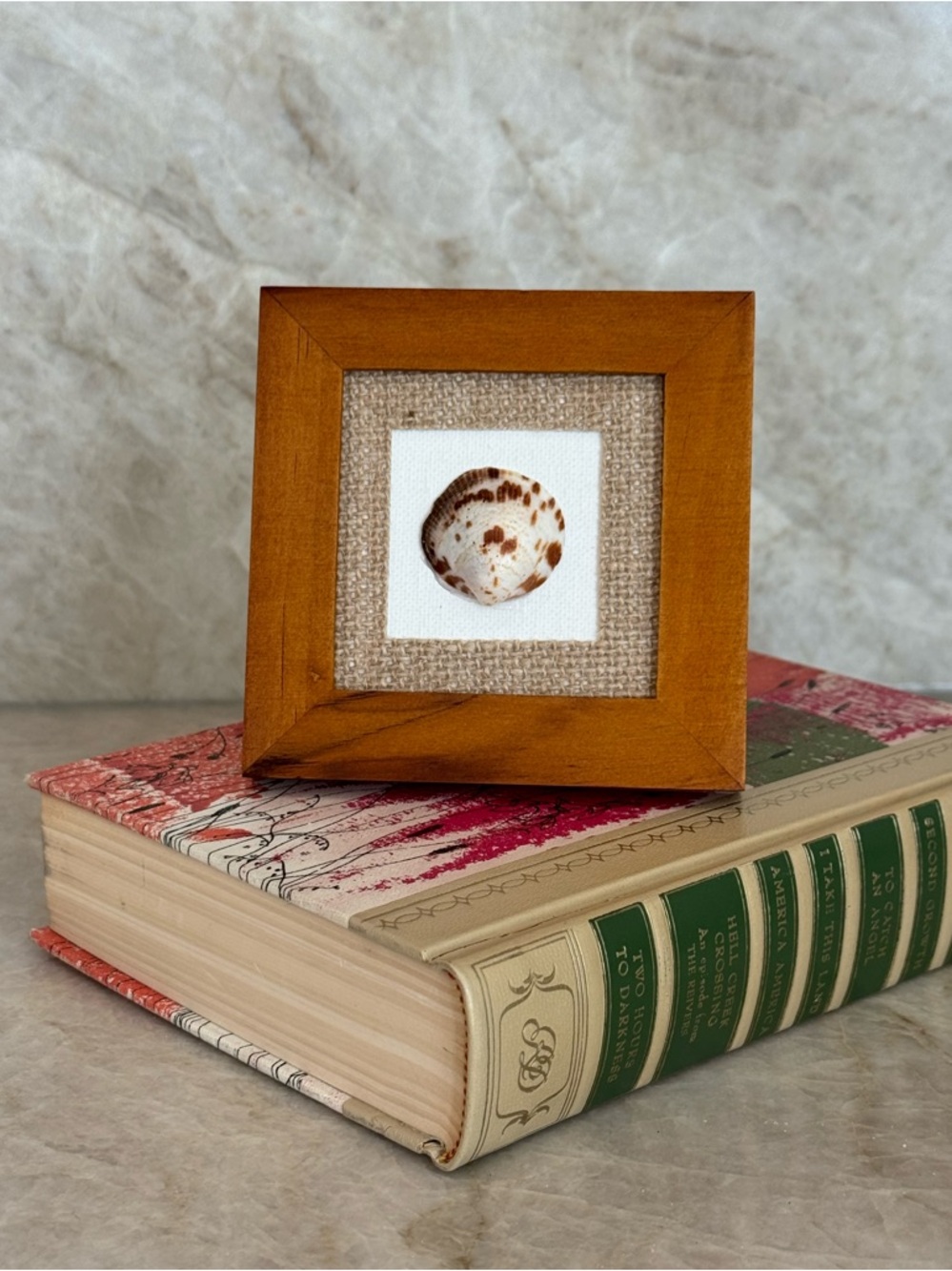 Handcrafted Wooden Frame Shell Art – Brown